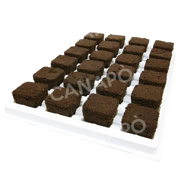 Root Riot cubetti radicanti 24 cubi organici biodegradabili