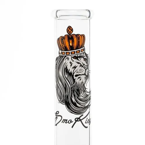 SmoKing bong in vetro 30cm leone