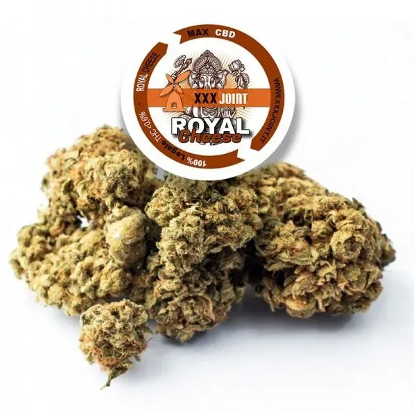 XXX Joint Royal Cheese CBD 30% infiorescenza 1,5g indoor
