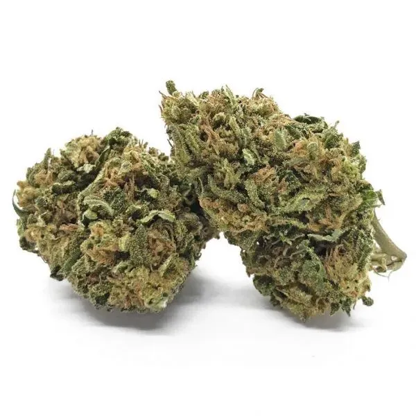 Canapò Bubblegum CBD infiorescenze indoor 3g dolce floreale