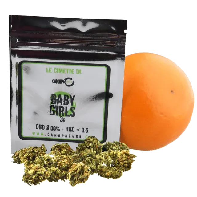 Canapa Zero Baby Girls infiorescenza CBD 8% 10 gr cedro