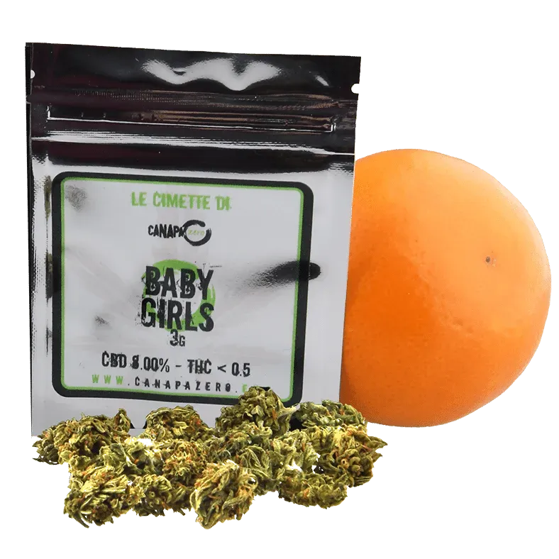 Canapa Zero Baby Girls infiorescenza CBD 8% 10 gr cedro