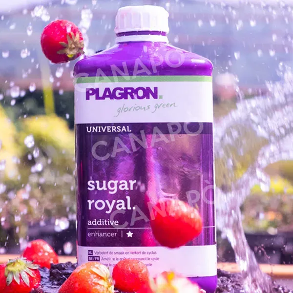 Plagron Sugar Royal stimolatore fioritura bio NPK 8-0-0