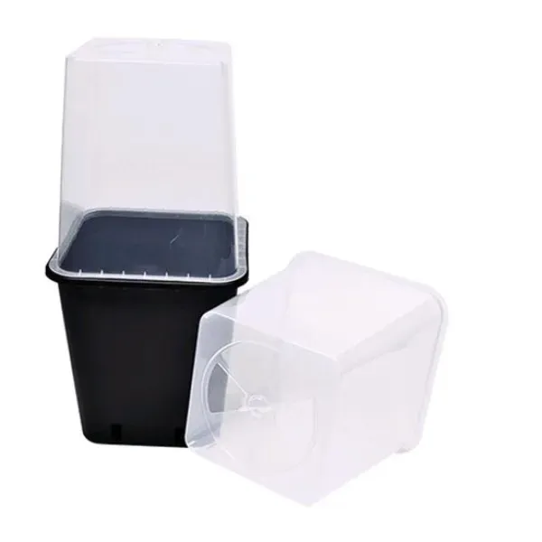 P&B Serra per vasi 11 litri cupola plastica con valvola