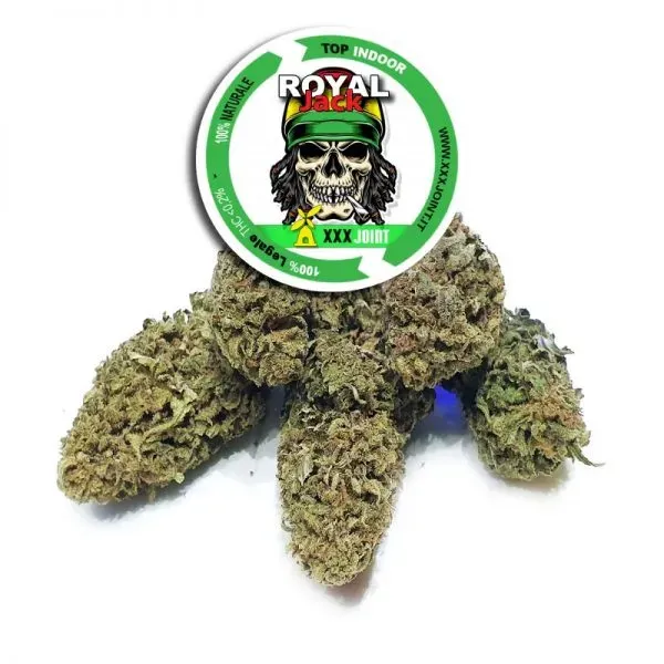 XXX Joint Royal Jack infiorescenza CBD 1,5g indoor 28%