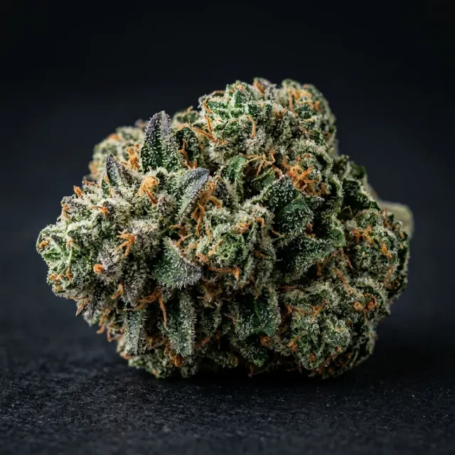 Trikoma Seeds Malquerida Auto semi autofiorenti 6 semi fruttato