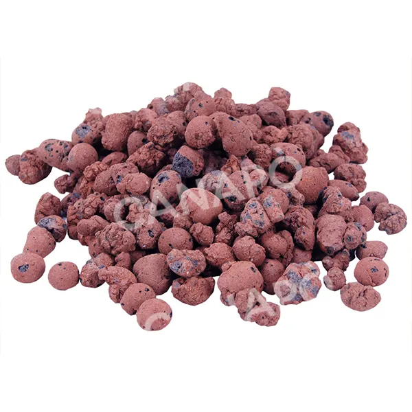 Plagron Euro Pebbles argilla espansa idroponica 10L