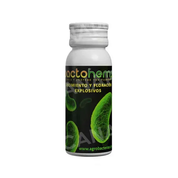 Bactohemp Agrobacterias Stimolante Radici Bio 10 g