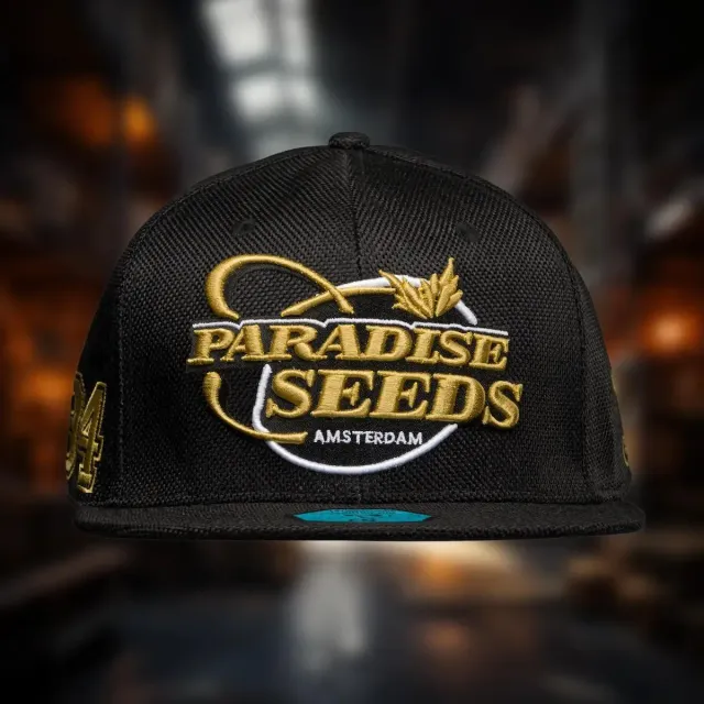 Paradise Seeds Snapback cappellino canapa nero oro