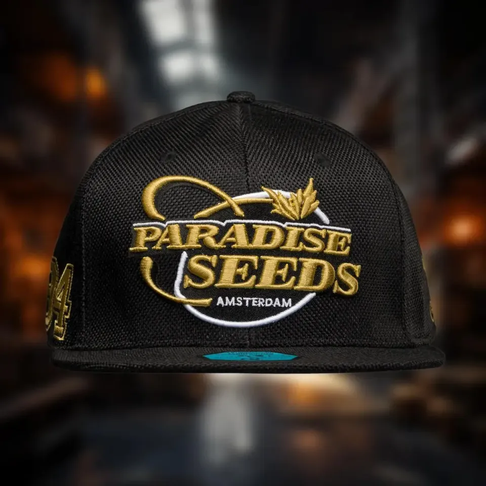 Paradise Seeds Snapback cappellino canapa nero oro