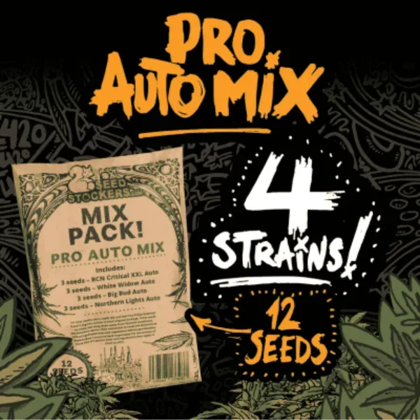 Seedstockers Pro Auto Mix semi autofiorenti 12 semi