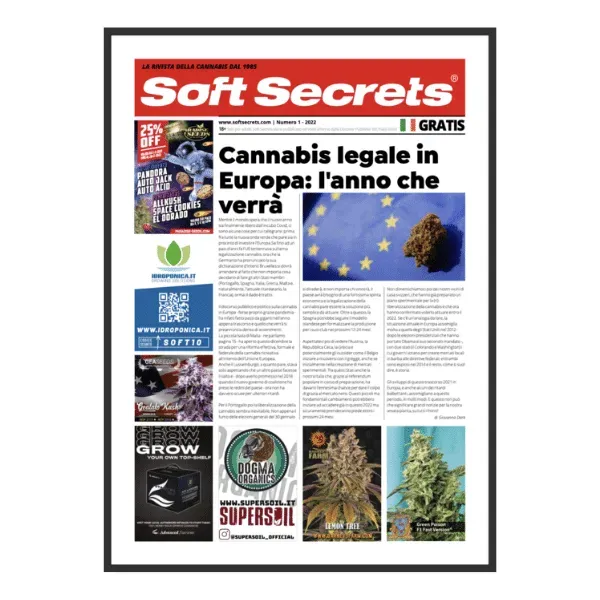 Soft Secrets 1 2022 rivista canapa coltivazione gratis