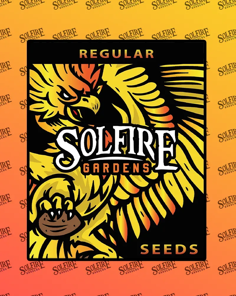 Solfire Gardens Beach Slapped semi regolari 12 semi esotici