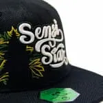 Paradise Seeds Sensi Star Cappellino canapa snapback