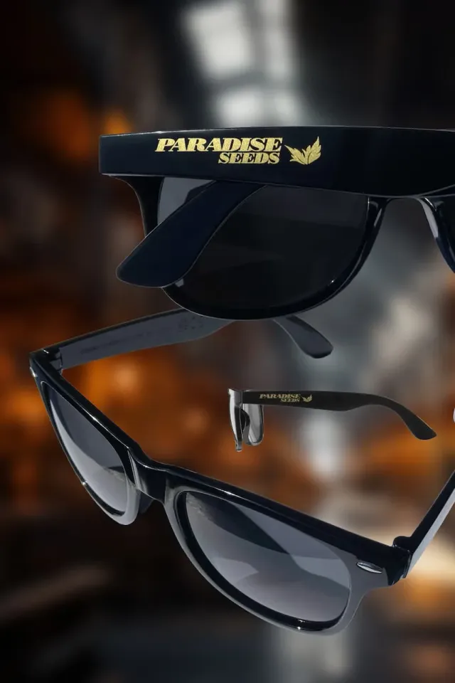 Paradise Seeds Zonnebril occhiali da sole UV400 CE