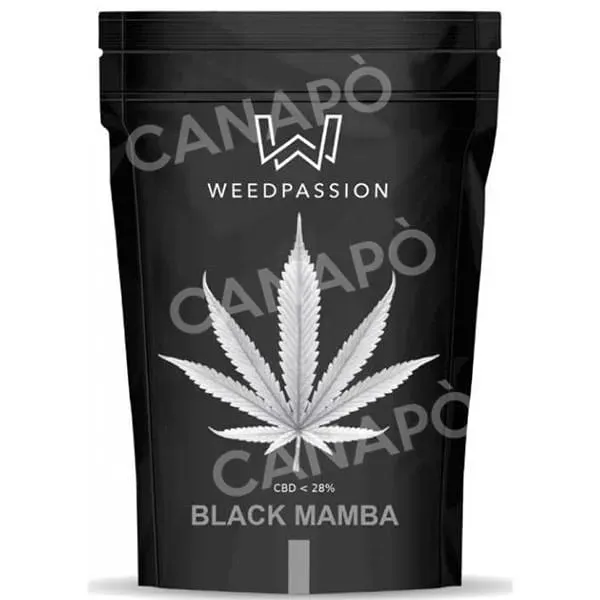 Weedpassion Black Mamba infiorescenza CBD 28% 3 g