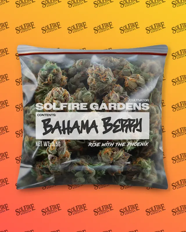 Solfire Gardens Sol-Sack cuscino arredo in poliestere