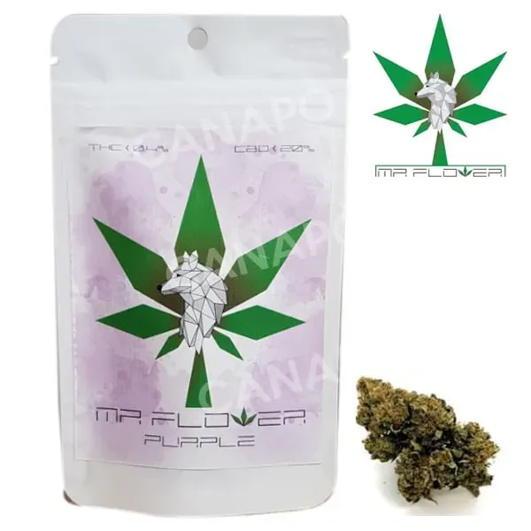 Mr Flower Purple cannabis light CBD 20% 2g