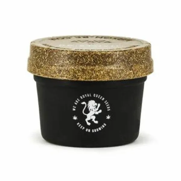 Royal Queen Seeds Re Stash barattolo ermetico 7g