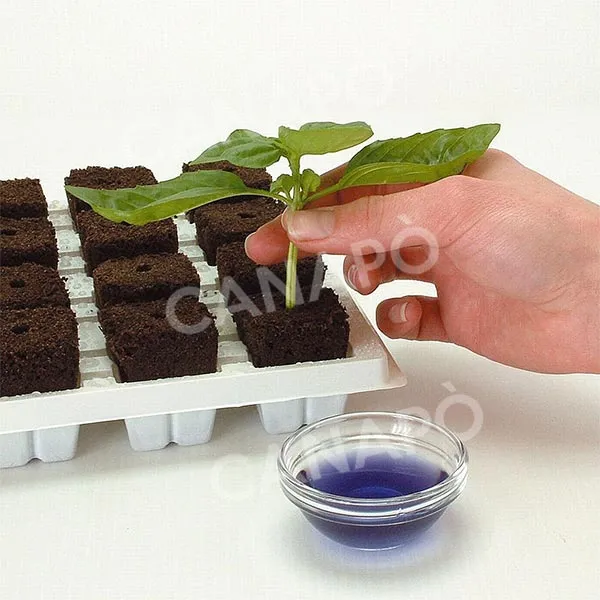 Root Riot cubetti radicanti 24 cubi organici biodegradabili
