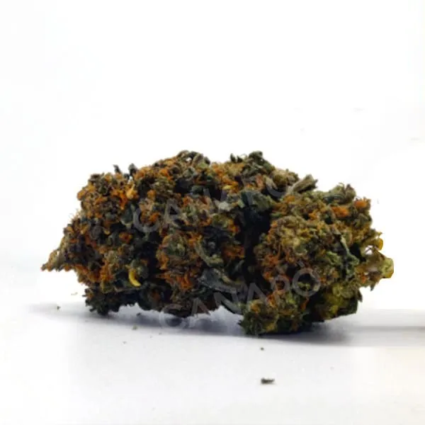 Weedpassion Royal Cheese cannabis light 1g CBD 24%