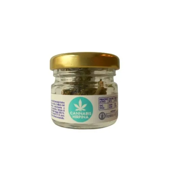 Cannabis Hirpina Therapy CBD infiorescenza outdoor 1 g
