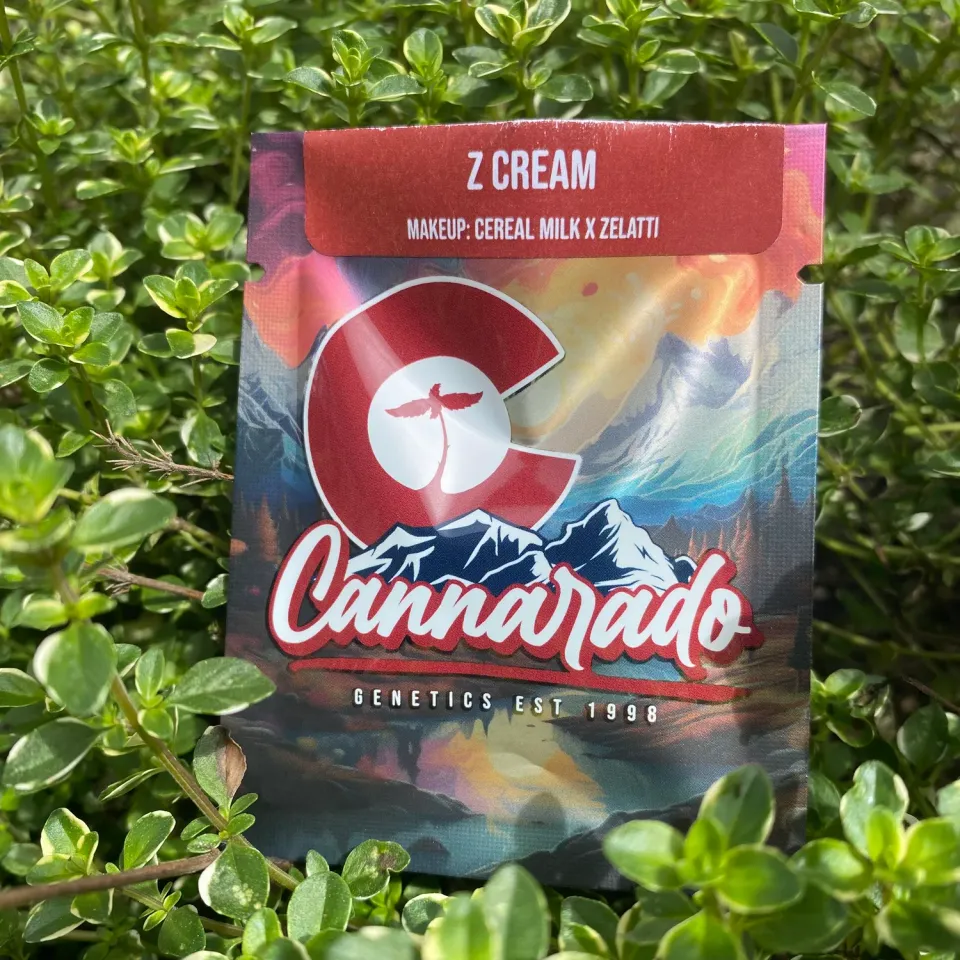 Cannarado Genetics Z Cream semi regolari 10+ semi Cereal Milk x Zelatti