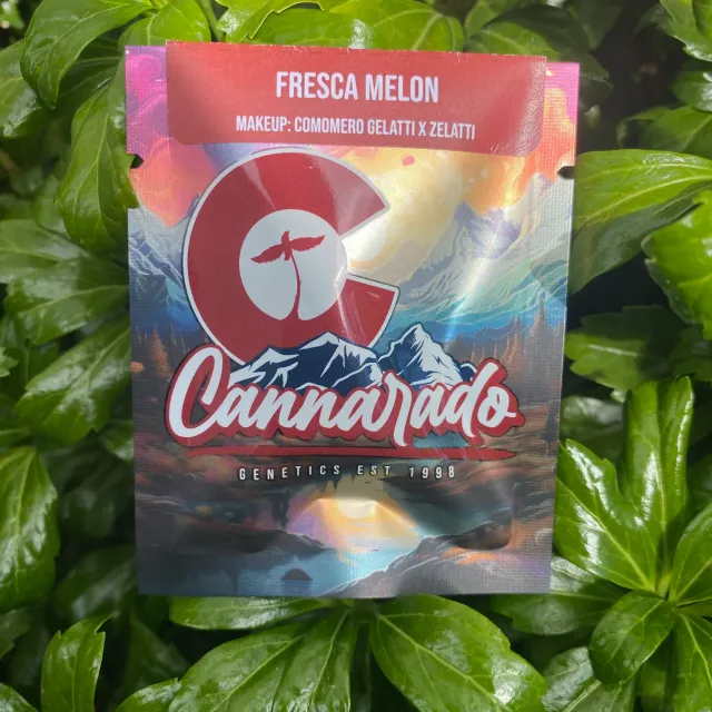 Cannarado Genetics Fresca Melon semi regolari 10+ semi resa alta