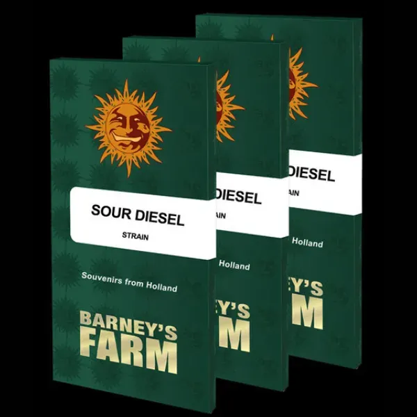 Barney's Farm Sour Diesel semi femminizzati da collezione