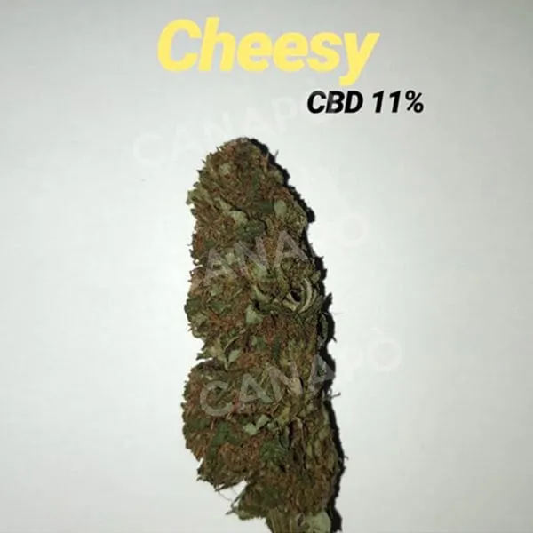 Serino Green Hemp Cheesy infiorescenza CBD 2gr 11% outdoor