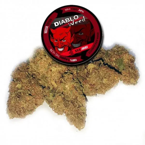 XXX Joint Diablo Weed infiorescenza CBD 1,5 g CBD 30%