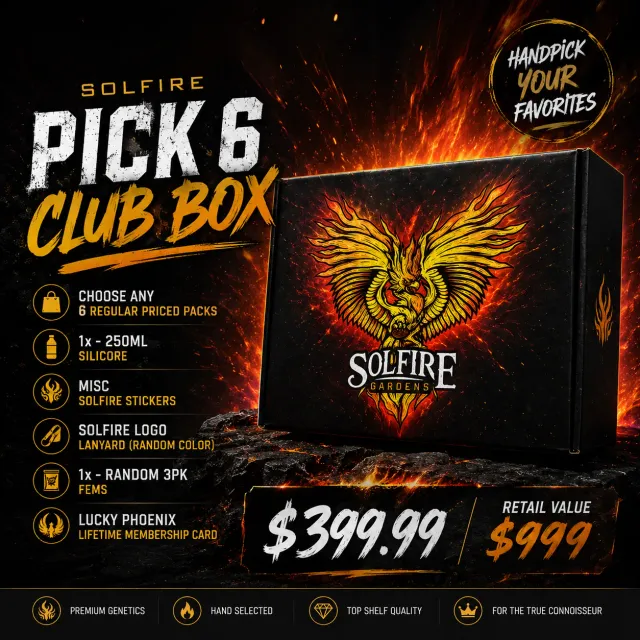 Solfire Gardens Phoenix Pick 6 Club Box semi 6 pack misti