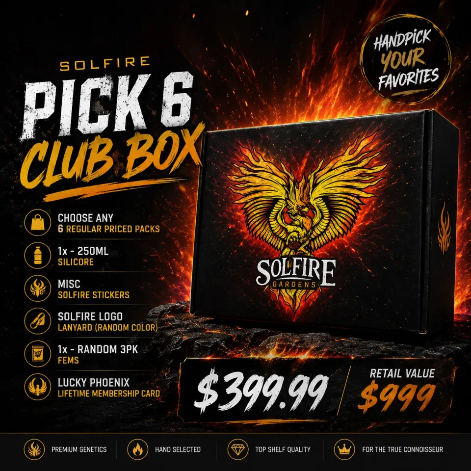 Solfire Gardens Phoenix Pick 6 Club Box semi 6 pack misti