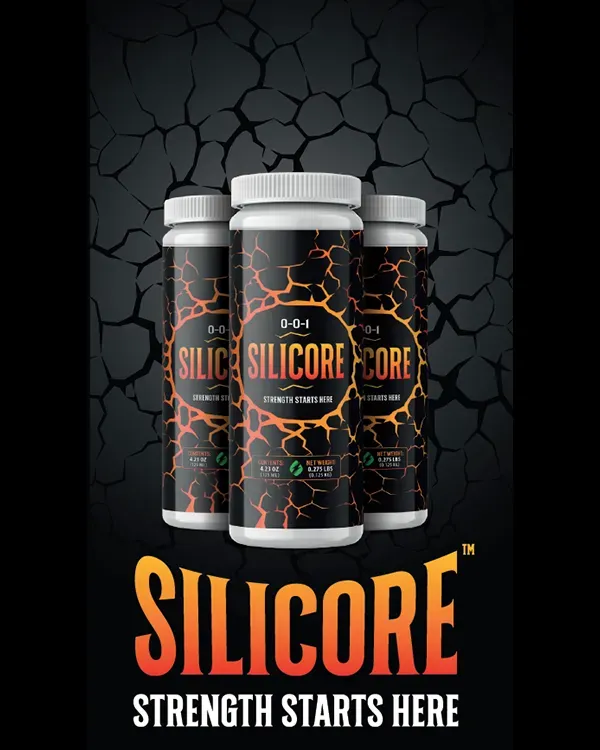 Solfire Gardens Silicore additivo silicio 250 ml
