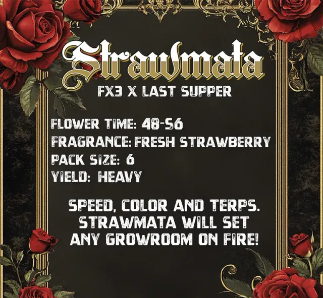 Solfire Gardens Strawmata semi femminizzati fragola Last Supper