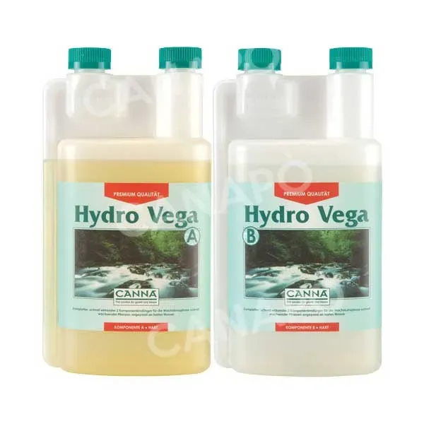 Canna Hydro Vega A+B Fertilizzante Idrocoltura 1L Vegetativa
