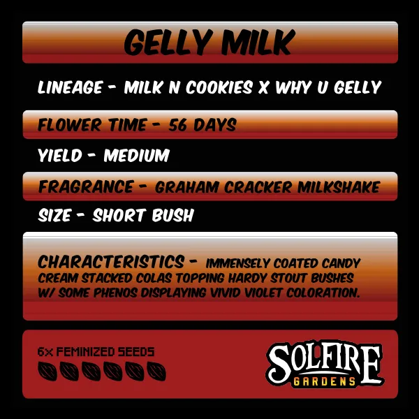 Solfire Gardens Gelly Milk semi femminizzati 6 semi da collezione