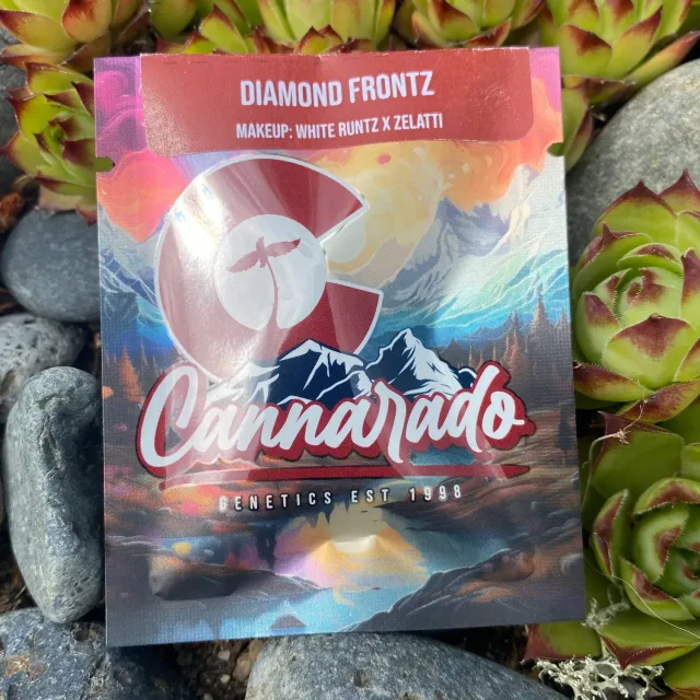 Cannarado Genetics Diamond Frontz semi regolari 10+ semi medio-alta