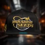 Paradise Seeds Snapback cappellino canapa nero oro
