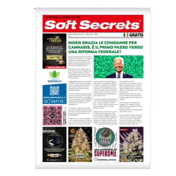 Soft Secrets n. 6 2022 rivista coltivazione