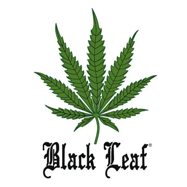 Black Leaf bong vetro 15 cm trasparente