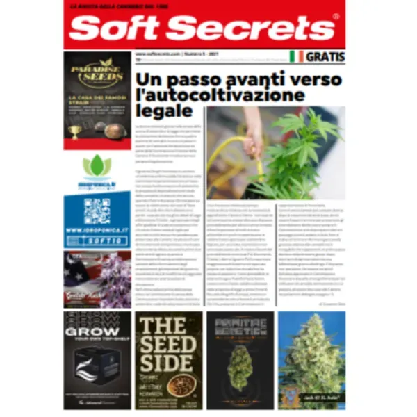 Soft Secrets rivista n.5 2021 cannabis da collezione