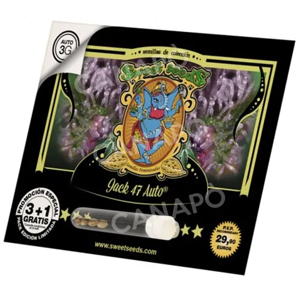Sweet Seeds Jack 47 Auto semi autofiorenti 3+1 THC alto