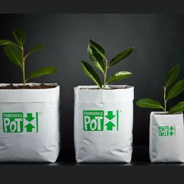 Canapo Pandora's Pot vaso pieghevole 2 litri indoor