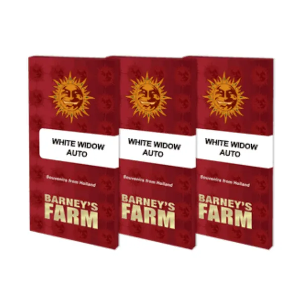 Barney's Farm White Widow Auto semi autofiorenti indica
