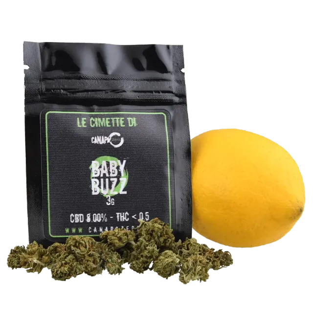 Canapa Zero Baby Buzz infiorescenza CBD 8% limone
