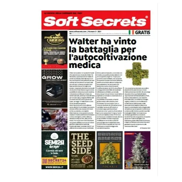 Soft Secrets n.3 2021 rivista cannabis da collezione