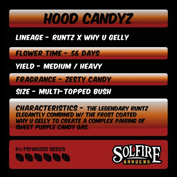 Solfire Gardens Hood Candyz semi femminizzati 6 semi