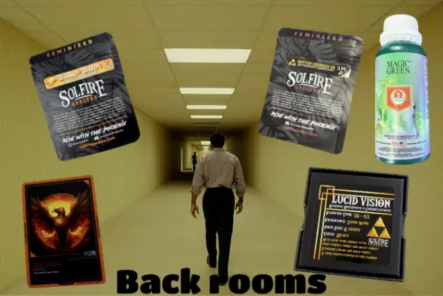 Solfire Gardens Back Rooms mix semi multipack collezione
