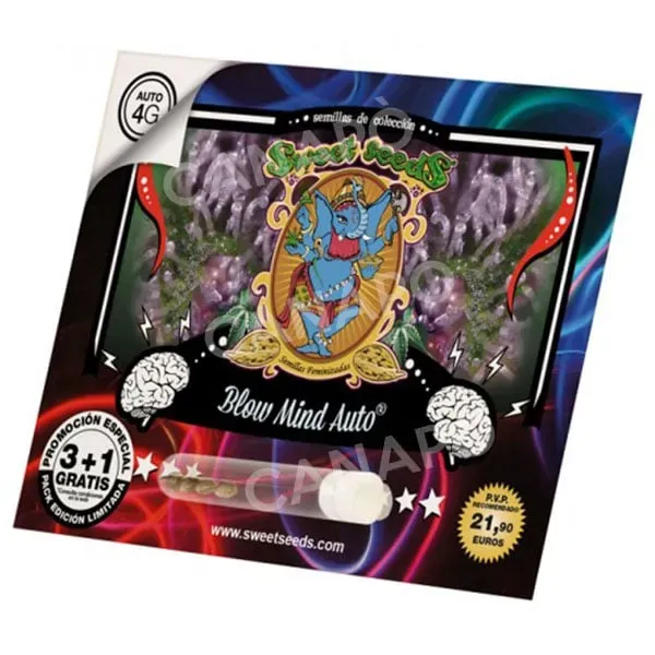 Sweet Seeds Blow Mind Auto semi autofiorenti 3+1 THC 15-20%